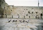 Prayer near the Kotel