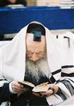 Prayer near the Kotel