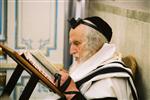 Rabbi Shmuel Auerbach