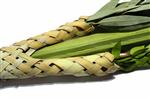 Sukkot Lulav and Etrog