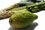 Sukkot Lulav and Etrog