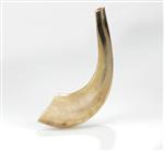 shofar