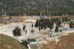 The cemetery of Safed