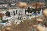 The cemetery of Safed