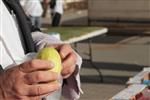 Checking etrog