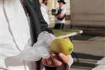 Checking etrog