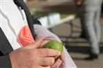 Checking etrog