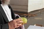 Checking etrog