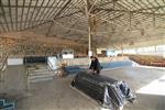 Tomb of Eleazar ben Arach Alma seat