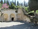 בבית הקברות הענק שבבית שערים קבורים לפי ההערכה  רבי יהודה הנשיא ומשפחתו. במערת הארונות 135 ארונות, והיא אחת מתוך עשרות באיזור. 