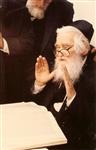 Rabbi Menachem Man Shach