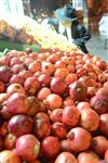 Erev Rosh Hashana, getting ready for the holiday