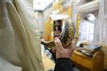 Blow the shofar in Elul