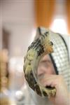 Blow the shofar in Elul