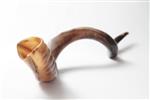 shofar