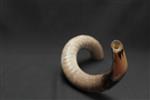 Shofar blowing a ram&#39;s horn