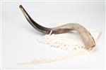 Shofar blowing a ram&#39;s horn