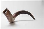 Shofar blowing a ram&#39;s horn