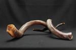 Shofar blowing a ram&#39;s horn