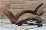 Shofar blowing a ram&#39;s horn