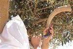 Shofar blowing a ram&#39;s horn