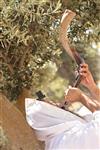 Shofar blowing a ram&#39;s horn