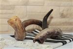 Shofar blowing a ram&#39;s horn