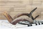 Shofar blowing a ram&#39;s horn