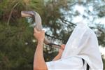 Shofar blowing a ram&#39;s horn