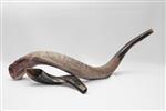 Shofar blowing a ram&#39;s horn