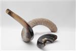 Shofar blowing a ram&#39;s horn