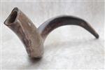 Shofar blowing a ram&#39;s horn