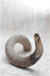 Shofar blowing a ram&#39;s horn