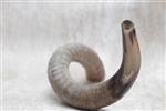 Shofar blowing a ram&#39;s horn