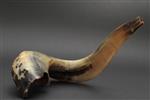 Shofar blowing a ram&#39;s horn