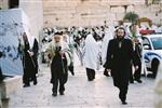 Gigantic Lulav and Etrog