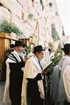 Gigantic Lulav and Etrog