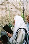 Gigantic Lulav and Etrog