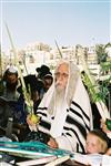 Gigantic Lulav and Etrog