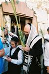 Gigantic Lulav and Etrog