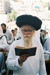 Gigantic Lulav and Etrog