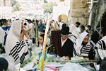 Gigantic Lulav and Etrog