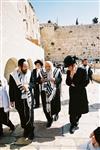 Gigantic Lulav and Etrog