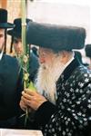 Gigantic Lulav and Etrog