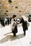 Gigantic Lulav and Etrog