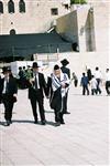 Gigantic Lulav and Etrog