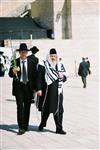 Gigantic Lulav and Etrog