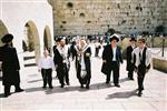 Gigantic Lulav and Etrog