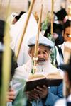 Gigantic Lulav and Etrog