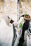 Gigantic Lulav and Etrog